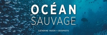 Océan Sauvage de Catherine Vadon