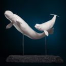 YVELIN_Laurent_Duo-de-Belugas_sculpture