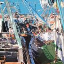 Christel-SOUBEYRE-Parking