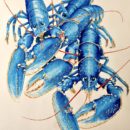 Maurice-LEBRETON_Sans-titre-5