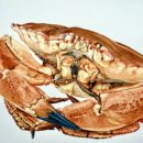 Maurice-LEBRETON_Sans-titre-9