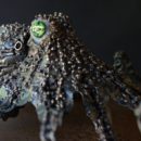 Mathieu-RAPP_Octopus-cupreata