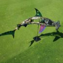 Mathieu-RAPP_Requin-marteau